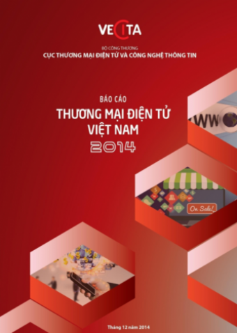 Ecommerce in Vietnam 2014